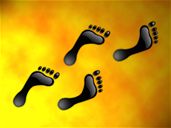 Объем этого файла - 233 Kb Объем этого файла - 233 Kb